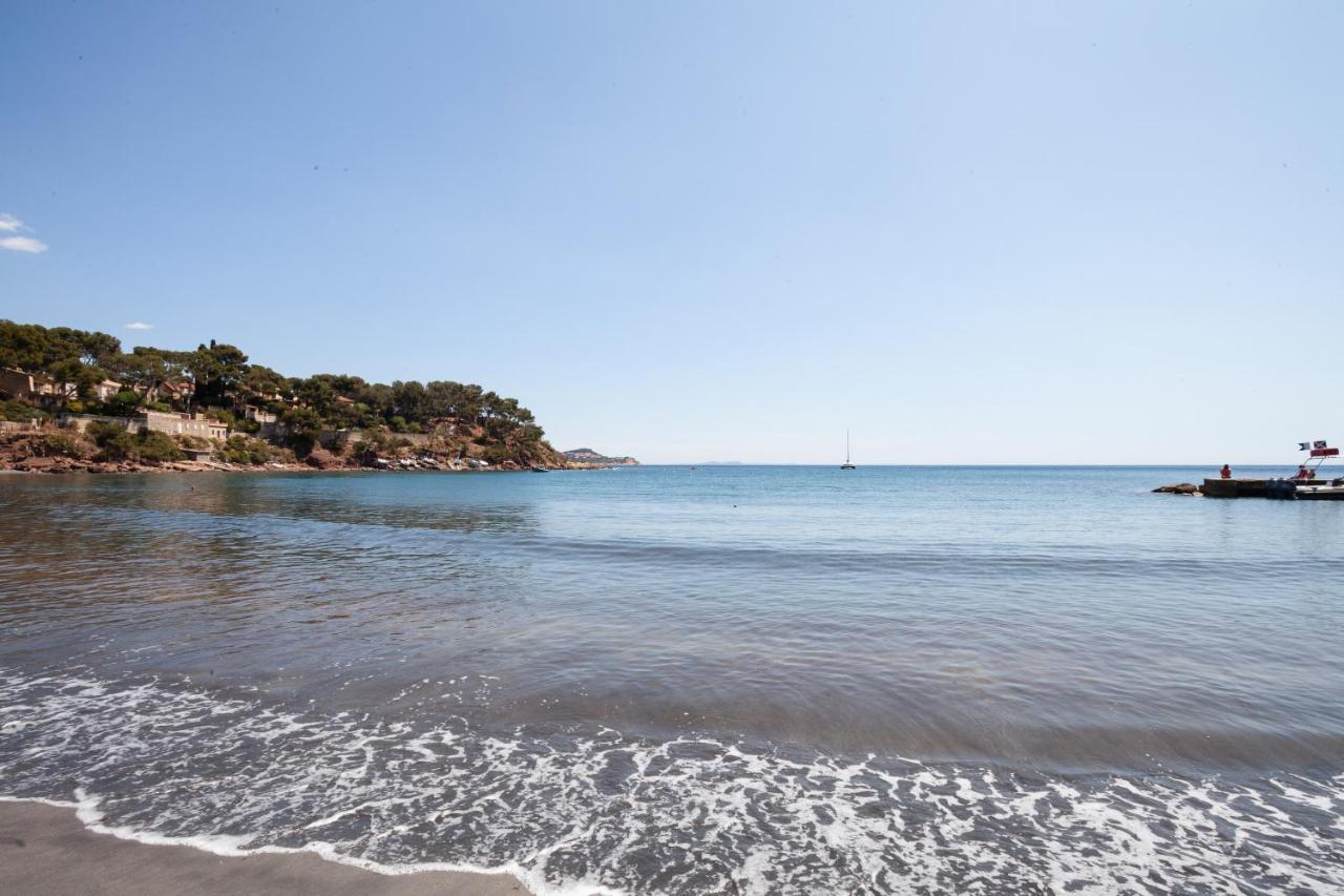 T2 - La Seyne Sur Mer - Fabregas 외부 사진